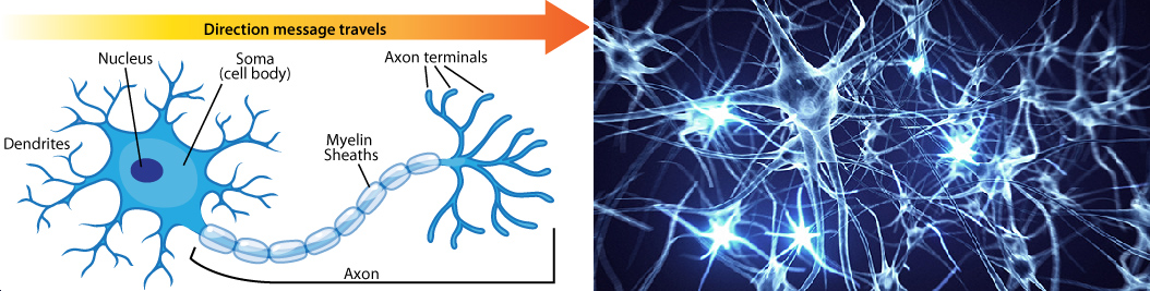 ../_images/U2.01 - The Perceptron_5_0.png